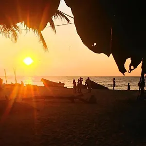 Homestay Grace, Negombo